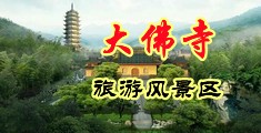 我想看操逼大黄片性交中国浙江-新昌大佛寺旅游风景区